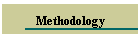 Methodology